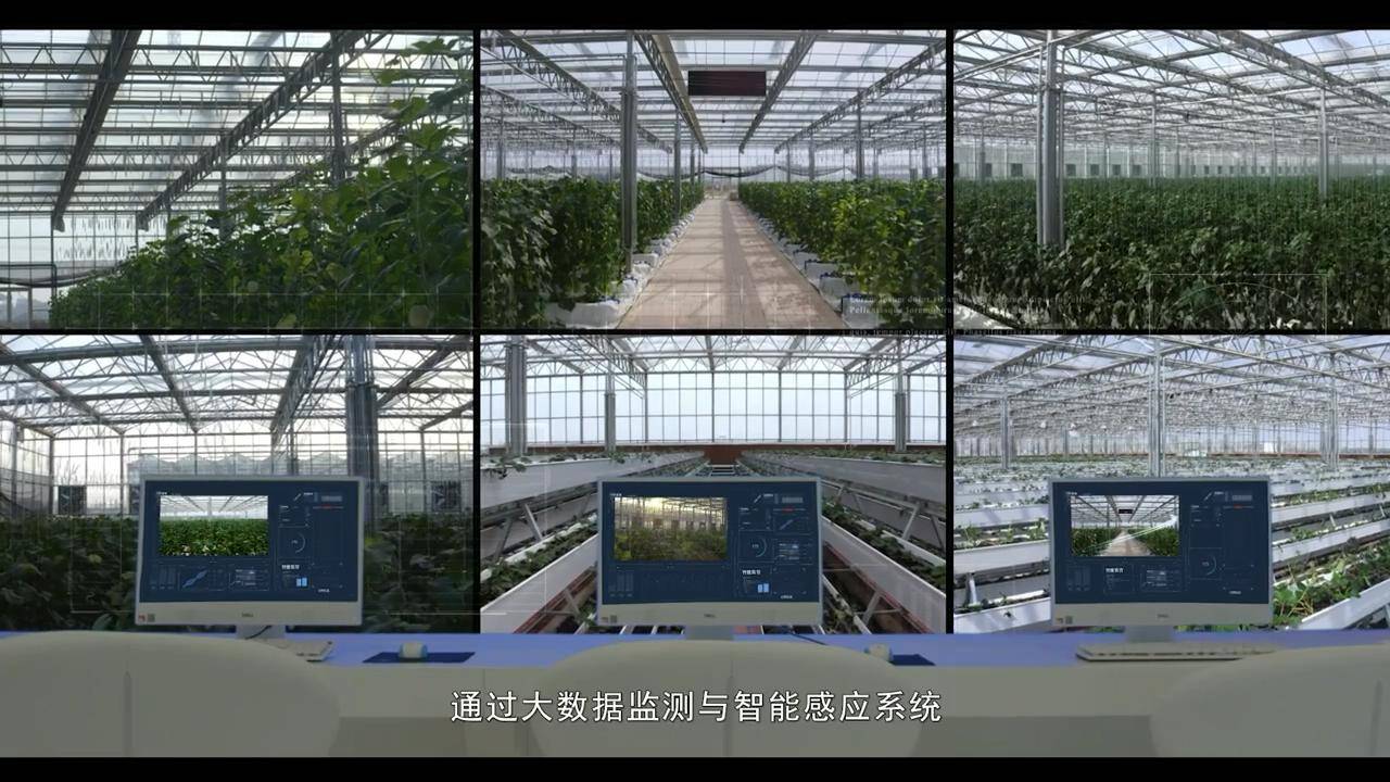 溫室大棚物聯網系統