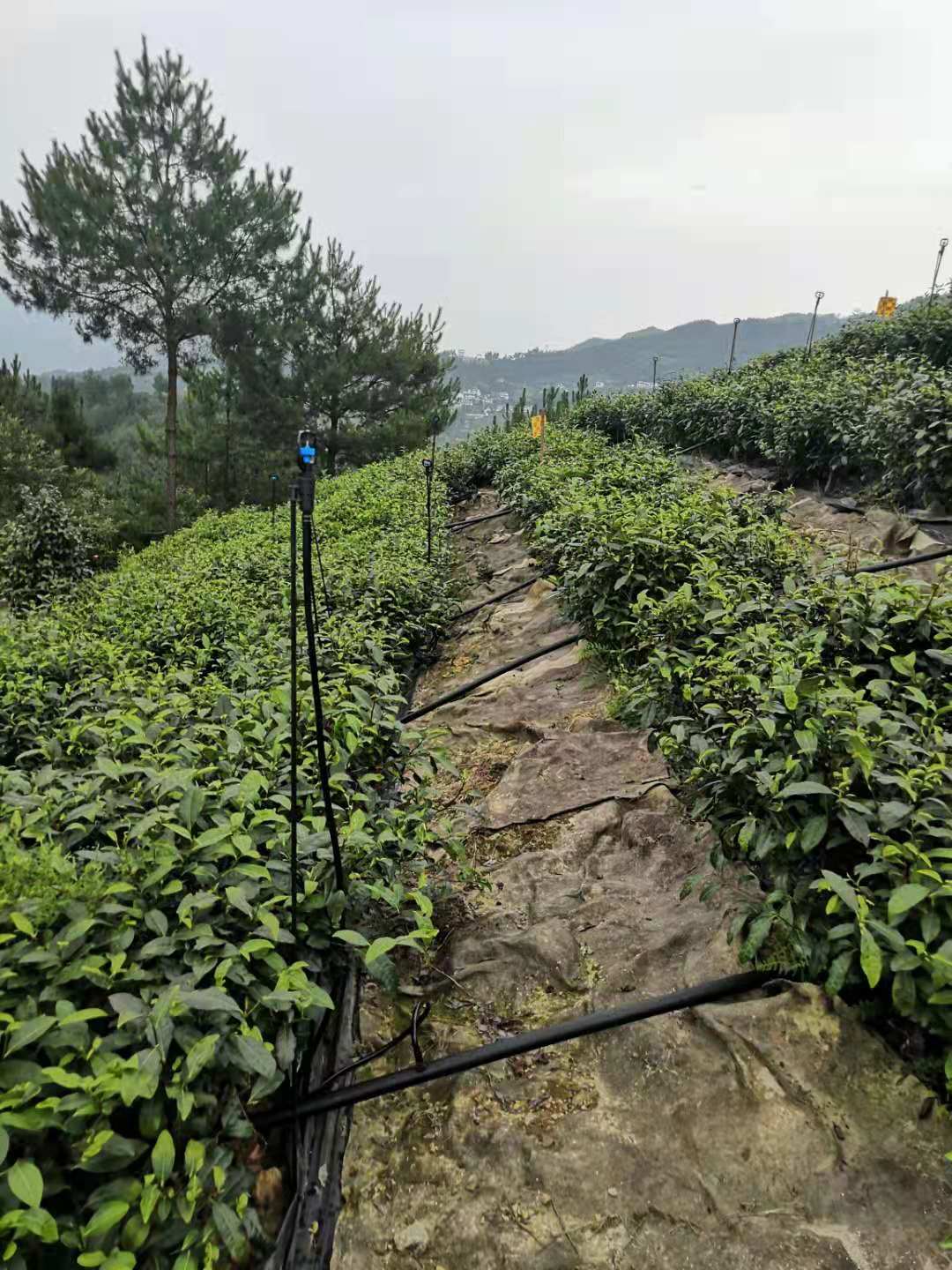 高標準農(nóng)田高效節(jié)水灌溉