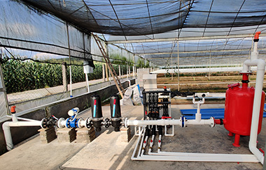 智能水肥一體機哪家公司的好 智能水肥一體機哪家公司的好