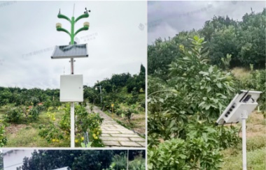 賽通科技如何用數(shù)字科技賦能西部農(nóng)業(yè) 賽通科技如何用數(shù)字科技賦能西部農(nóng)業(yè)